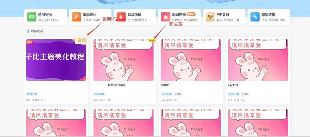 子比主题 – 文章列表添加置顶和新文章角标-锦瑟博客