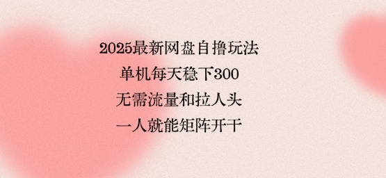 2025最新网盘自撸玩法，单机每天稳下3张，无需流量和拉人头，一个人就可轻松矩阵，全网独一份【揭秘】-锦瑟博客