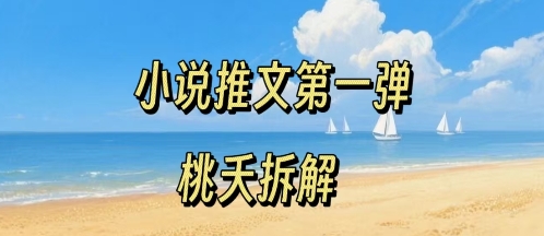 小说推文项目操作全流程第一弹，0粉就能做，门槛低非常适合新手-锦瑟博客