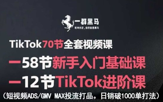 TikTok全套视频课，新手入门+进阶课，短视频ADS-GMV MAX投流打品，日销破1000单打法-锦瑟博客