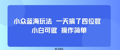 小众蓝海玩法 一天搞了四位数 小白可做 操作简单-锦瑟博客