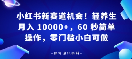 小红书新赛道机会，轻养生月入 1w，60 秒简单操作，带货接广都可以，零门槛小白可做-锦瑟博客