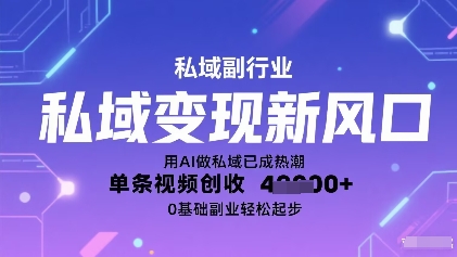私域变现新风口：用AI做私域已成热潮，单条视频创收1k+，0基础副业轻松起步-锦瑟博客