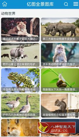 亿图 v1.2.6纯净版-锦瑟博客
