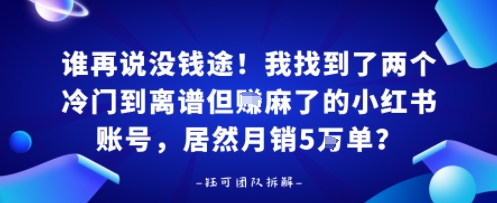 谁再说没钱途!我找到了两个冷门到离谱但賺麻了的小红书账号,居然月销5W单?-锦瑟博客