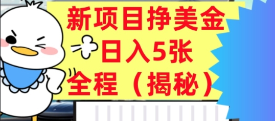 最新挣美金项目，日入5张，全程揭秘，小白也能轻松入手，长久被动收入-锦瑟博客