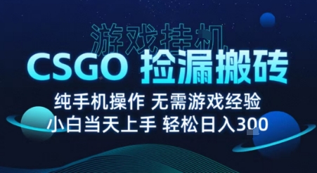 8月最新游戏搬砖，CSGO纯挂G，不需要玩游戏，实现真挂G，月入1W+【揭秘】-锦瑟博客