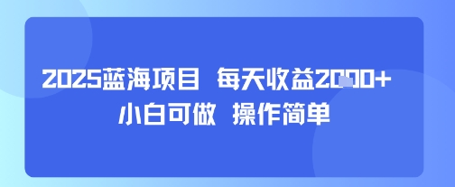 2025蓝海项目 每天收益多张 小白可做 操作简单-锦瑟博客