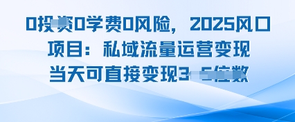 0学费0风险，2025风口项目：私域流量运营变现，当天可直接变现-锦瑟博客