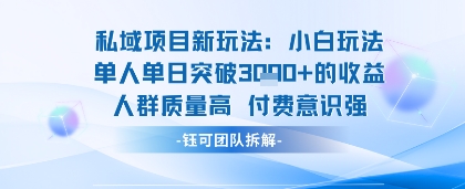 私域项目新玩法小白玩法单人单日突破1k的收益人群质量高付费意识强-锦瑟博客